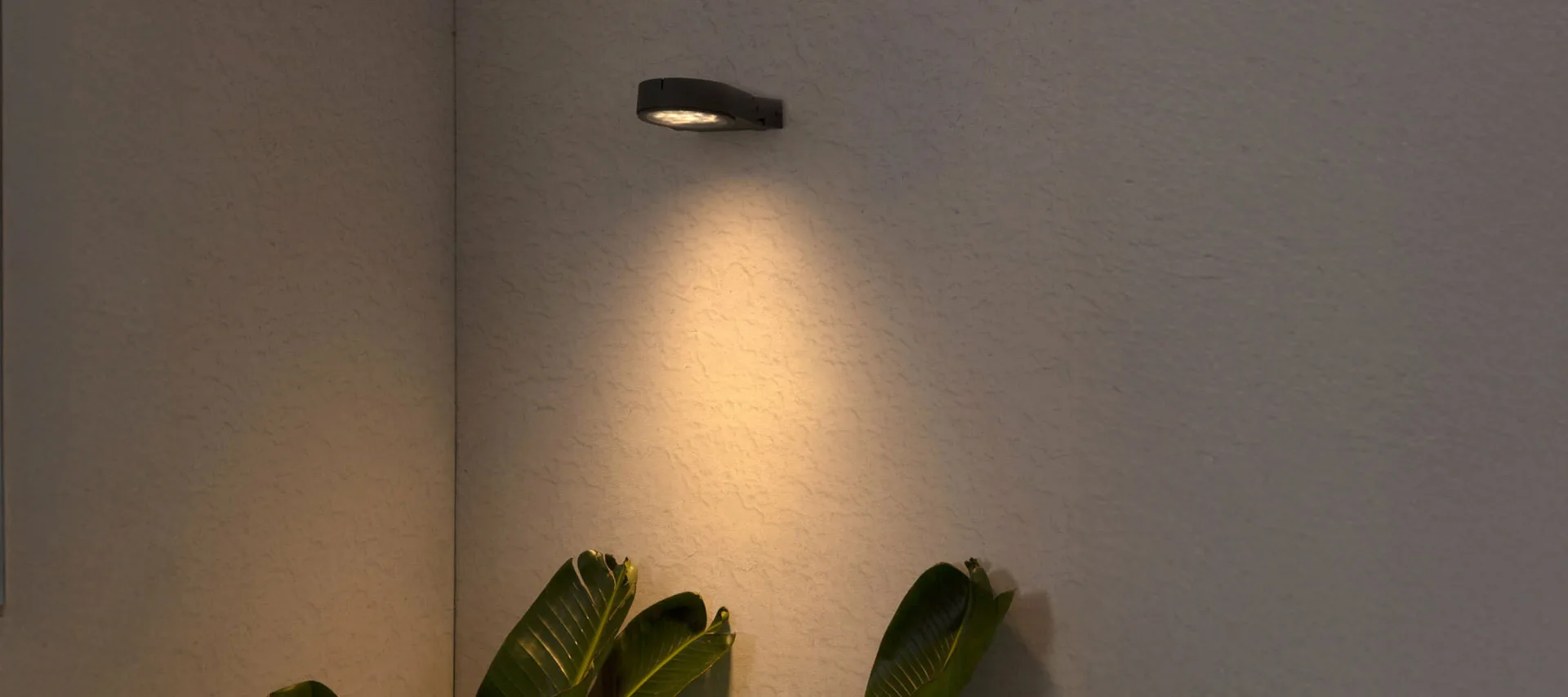 Black outdoor light on wall