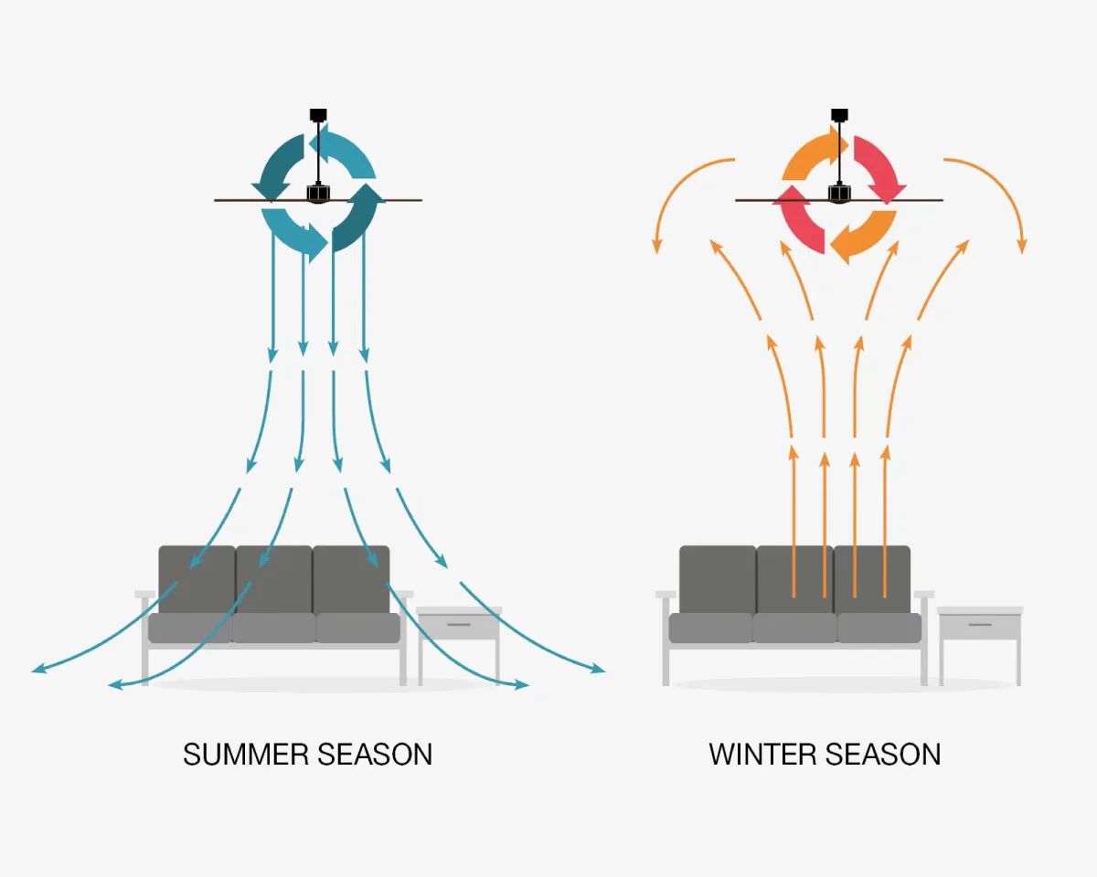 Illustration showing the correct ceiling fan rotation direction for summer and winter. In summer, the fan pushes cool air downward for a refreshing breeze, while in winter, the reverse rotation circulates warm air throughout the room to improve heating efficiency.